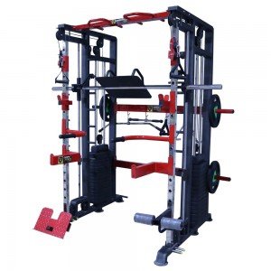 Functional Trainer With Smith Machine FTS-101 PRO at Best Price