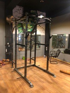 Buy Power Racks for gym and home use purpose online on Gamma Fitness