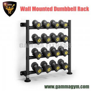 Wall Mounted Dumbbell Rack - Buy it online at best price