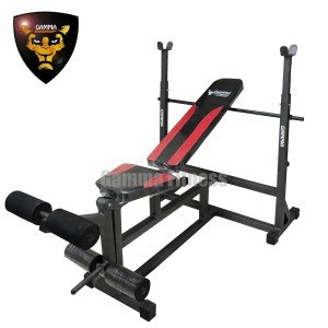 Buy Exercise Bench For Home Use | 6 in 1 Multi Adjustable Bench